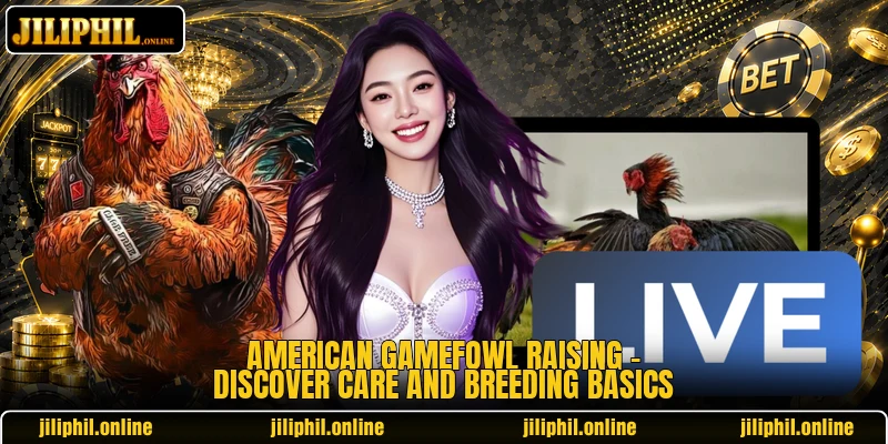 American Gamefowl Raising - Discover Care And Breeding Basics