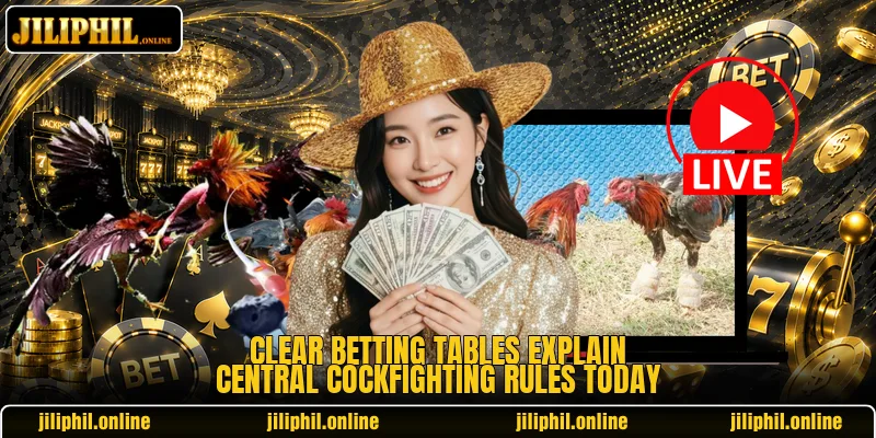 Clear betting tables explain Central cockfighting rules today Clear betting tables explain Central cockfighting rules today